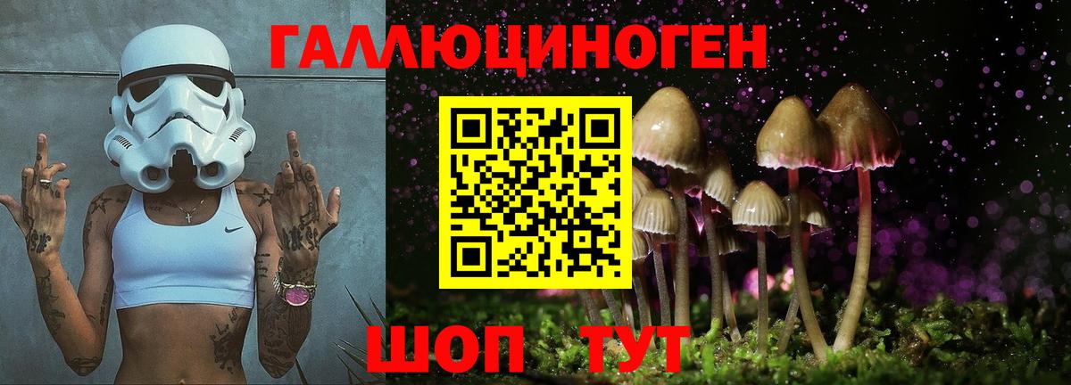 Гусь-Хрустальный  Псилоцибиновые грибы Cubensis  Псилоцибиновые грибы GOLDEN TEACHER  Вход с VPN 